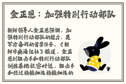 红桃视频大波浪在线一区